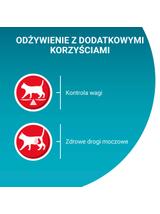Purina One Sterilcat z indykiem i zieloną fasolką 26x85g
