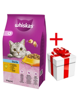 WHISKAS Sterile 14 kg - sucha karma dla dorosłego kota po zabiegu kastracji, z pysznym kurczakiem + niespodzianka dla kota GRATIS!!!