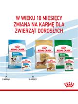 ROYAL CANIN Mini Puppy 12x85g karma mokra w sosie dla szczeniąt do 10 miesiąca, ras małych