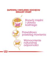 ROYAL CANIN British Shorthair Kitten 2kg karma sucha dla kociąt, do 12 miesiąca, rasy brytyjski krótkowłosy