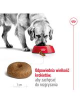 ROYAL CANIN Maxi Ageing 8+ 14,4kg karma sucha dla psów dojrzałych, po 8 roku życia, ras dużych / 14,4kg / Opakowanie uszkodzone (6930,9562) !!!