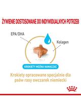 ROYAL CANIN German Shepherd Adult 5+ 12kg karma sucha dla psów dorosłych rasy owczarek niemiecki, powyżej 5 roku życia