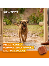 Frontpro tabletki na pchły i kleszcze M 28,3mg 4-10kg 1 TABLETKA
