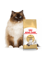 ROYAL CANIN Ragdoll Adult 10kg karma sucha dla kotów dorosłych rasy ragdoll  + niespodzianka dla kota GRATIS!