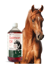 Lab-v Salmon Oil – 100% olej z łososia atlantyckiego dla koni 1000 ml