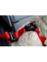 ZOLUX Szelki dla psa TRAVEL SAFE S czerwone