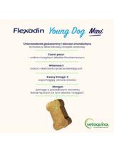 VETOQUINOL Flexadin Young Dog Maxi 60 kąsków