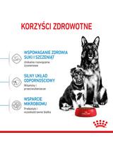 ROYAL CANIN Maxi Starter Mother&Babydog 15kg karma sucha dla suk w ciąży i okresie laktacji oraz szczeniąt, od 4 do 8 tygodnia życia, ras dużych
