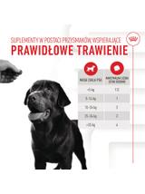 Royal Canin Digestion Adult Chews 160g