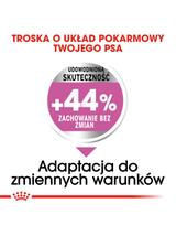 ROYAL CANIN CCN Mini Relax Care 8kg + niespodzianka dla psa GRATIS!