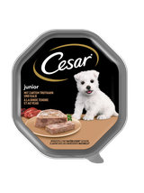 CESAR Junior tacka 14x150 g – mokra karma pełnoporcjowa dla szczeniąt, z indykiem i cielęciną, w pasztecie