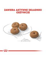 ROYAL CANIN CCN Mini Sterilised 3kg karma sucha dla psów dorosłych, ras małych, sterylizowanych /Opakowanie uszkodzone (7786,7782) !!!