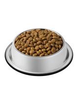PURINA Cat Chow Urinary Karma bogata w kurczaka 1,5kg
