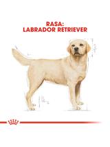 ROYAL CANIN® Labrador Retriever Adult 11,5 kg karma sucha dla psów dorosłych do 5. roku życia, rasy labrador retriever / Opakowanie uszkodzone (5766)!!!