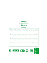 Frezja biała 10szt.