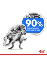 ROYAL CANIN CCN Maxi Light Weight Care 12kg karma sucha dla psów dorosłych, ras dużych z tendencją do nadwagi / Opakowanie uszkodzone (7701) !!!