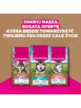 EUKANUBA Adult Large Grain Free 12kg