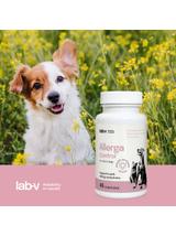 Lab-v Allerga Control – Wsparcie przy objawach alergii 45 kapsułek