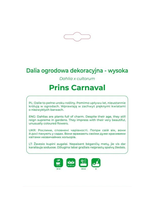 Dalia Prins Carnaval czerwono-różowa 1szt.