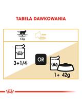 ROYAL CANIN British Shorthair Adult saszetka 12x85g (Sos) karma mokra w sosie dla kotów dorosłych rasy brytyjski krótkowłosy