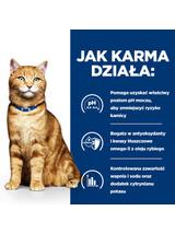 HILL'S PD Prescription Diet Feline c/d Multicare Kurczak 3kg Opakowanie uszkodzone (5427,9068)!!