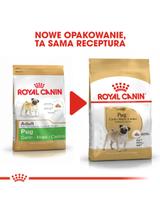 ROYAL CANIN Pug Adult 1,5kg karma sucha dla psów dorosłych rasy mops