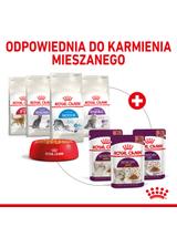 ROYAL CANIN Sensory Feel/Taste/Smell 85g