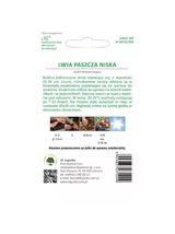 Lwia paszcza niska mieszanka