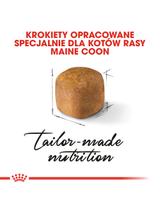 ROYAL CANIN Maine Coon Kitten 10kg +  niespodzianka dla kota GRATIS!