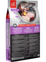 ORIJEN Puppy Large 6kg + niespodzianka dla psa GRATIS!
