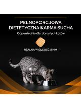 PRO PLAN Veterinary Diets OM St/Ox Obesity Management Karma sucha dla kota 5kg+ niespodzianka dla kota GRATIS!