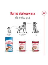 ROYAL CANIN® Medium Adult 410g karma mokra, pasztet dla psów dorosłych, ras średnich