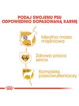 ROYAL CANIN Boxer Adult 12kg karma sucha dla psów dorosłych rasy bokser