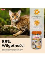 INABA  Churu Diet  dla kota - mix z kurczakiem 50x14g