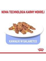 ROYAL CANIN  Indoor  Sterilised Jelly saszetka 12x85g