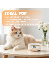 WILD FARM Special Soup 6x80g Sensitive – aromatyczna zupka - wsparcie prawidłowego nawodnienia
