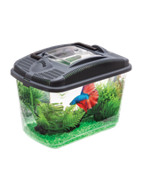AQUAEL Akwarium Betta Kit - dla bojownika 3L