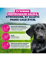 EUKANUBA Junior Large 15kg