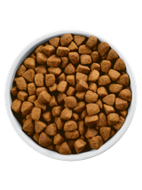 HILL'S PD Prescription Diet Metabolic Canine 11,4kg / Opakowanie uszkodzone (4965) !!!