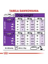 ROYAL CANIN Giant Adult 15kg karma sucha dla psów dorosłych, od 18/24 miesiąca życia, ras olbrzymich +  niespodzianka dla psa GRATIS!