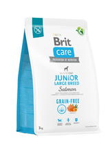 BRIT CARE Dog Grain-free Junior Large Breed Salmon 3kg