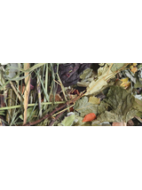 KORONA NATURY Natural-Vit pokarm dla świnki morskiej 750g