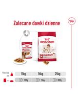 ROYAL CANIN Medium Adult 10x140g karma mokra w sosie dla psów dorosłych ras średnich