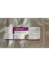 Dolvit Multical 1000g proszek