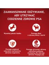 PURINA ONE Adult Medium/Maxi Karma dla dorosłych psów bogata w kurczaka z ryżem 12 kg