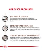 ROYAL CANIN Dog Gastro Intestinal Low Fat 10,5kg sucha karma o obniżonej zawartości tłuszczu dla psów z zaburzeniami żołądkowo-jelitowymi / Opakowanie uszkodzone (9376) !!!
