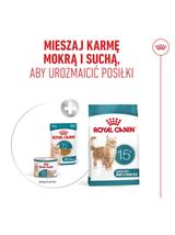 ROYAL CANIN mokra karma dla kotów, Senior Ageing 15+,can 85 g