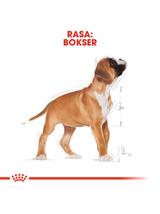 ROYAL CANIN Boxer Puppy 12kg karma sucha dla szczeniąt do 15 miesiąca, rasy bokser / Opakowanie uszkodzone (3804,4549,4551,4546,4548,3818,9399) !!!