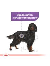 ROYAL CANIN CCN Maxi Sterilised 12kg karma sucha dla psów dorosłych, ras dużych, sterylizowanych