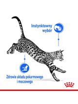 ROYAL CANIN  Indoor Sterilised Sos saszetka 12x85g